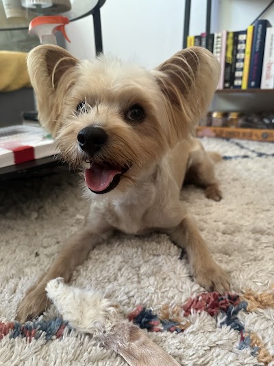 Grooming Van Image