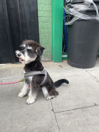 Grooming Van Image
