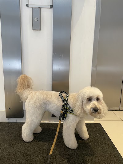 London Dog Grooming Co.Battersea