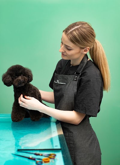 Grooming Van Image