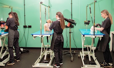 Grooming Van Image