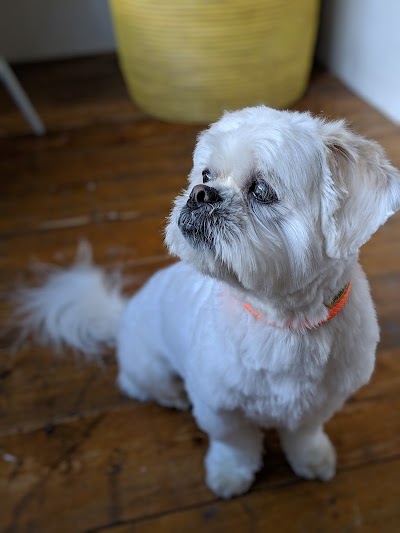 Grooming Van Image