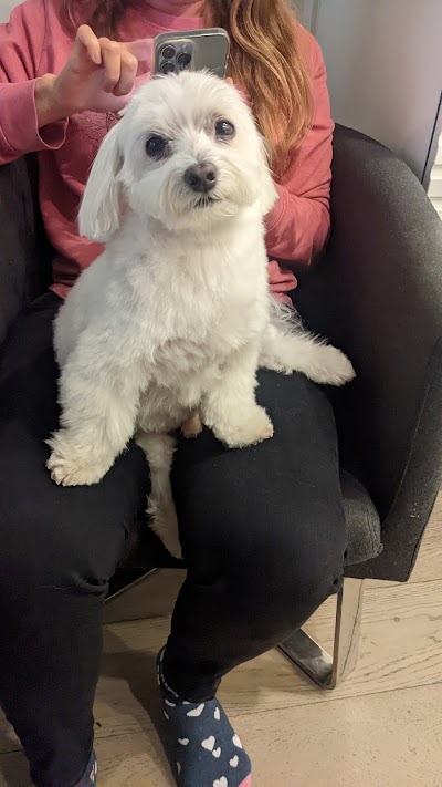 Grooming Van Image