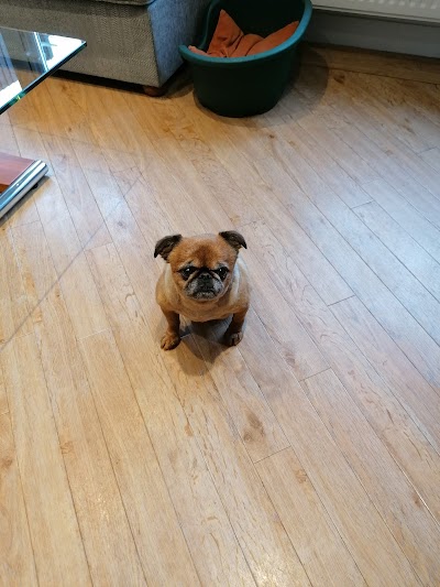 Grooming Van Image