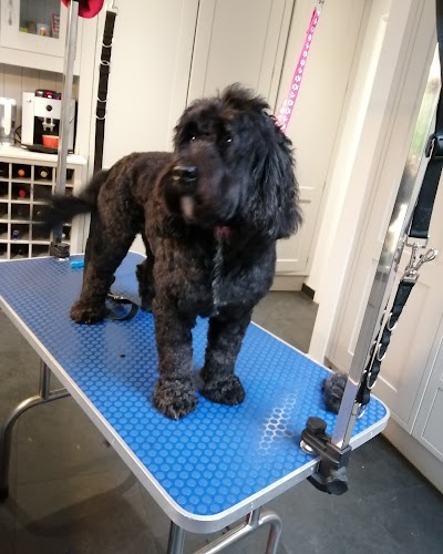 Grooming Van Image