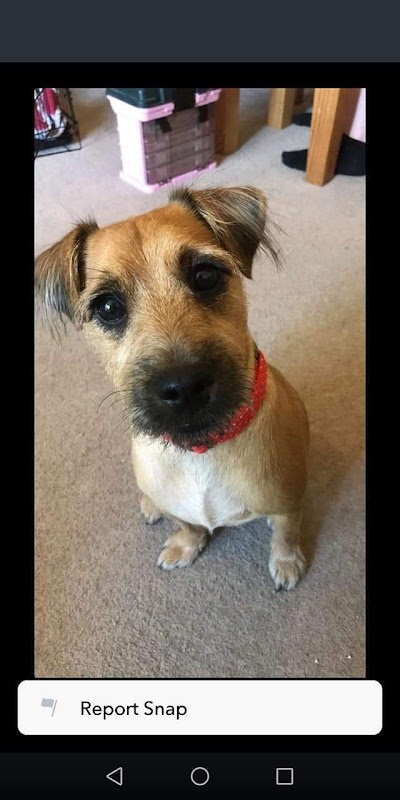 Grooming Van Image