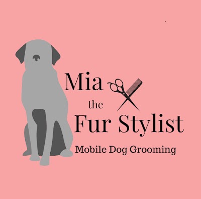 Grooming Van Image