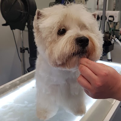 Grooming Van Image