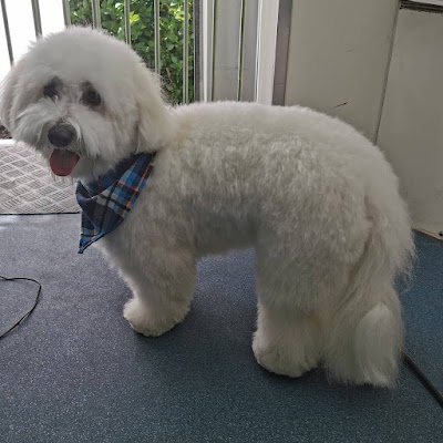 Grooming Van Image
