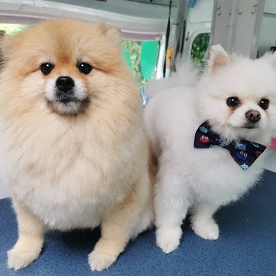 Grooming Van Image