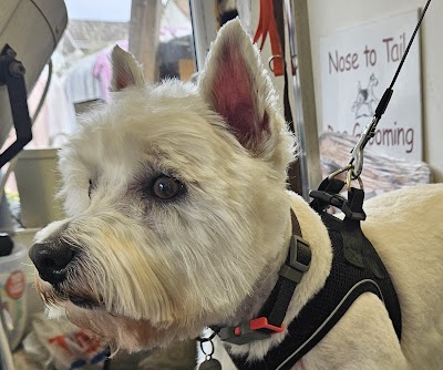 Grooming Van Image