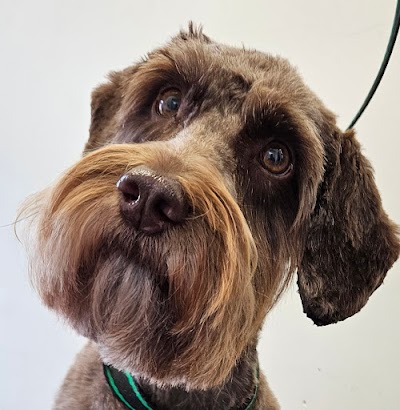 Grooming Van Image
