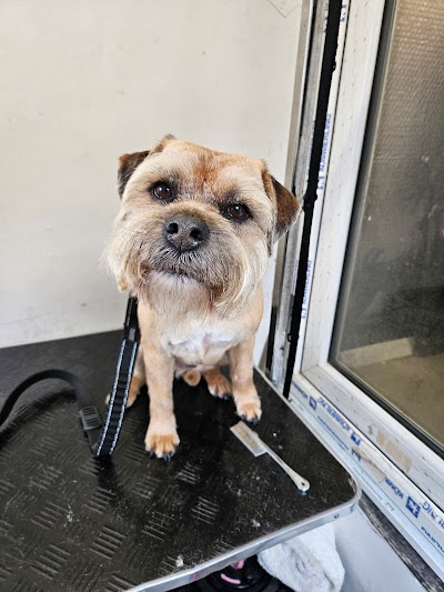 Grooming Van Image