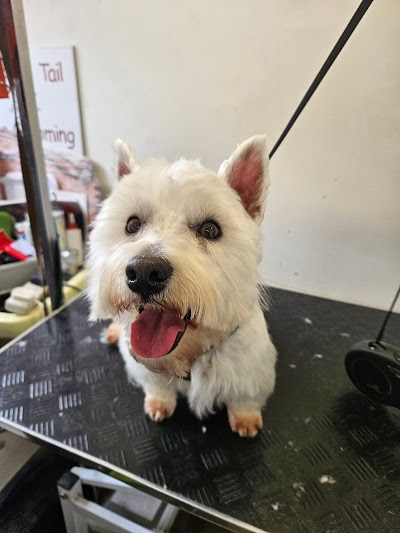 Grooming Van Image