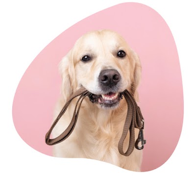 Grooming Van Image