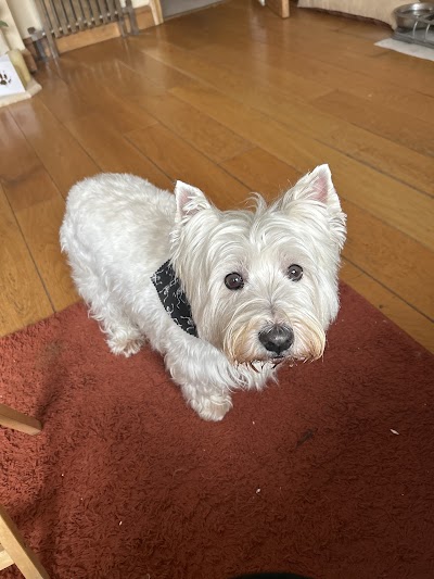 Grooming Van Image