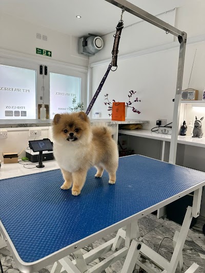 Grooming Van Image
