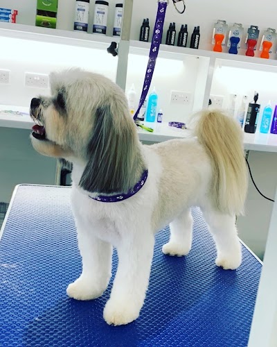 Grooming Van Image