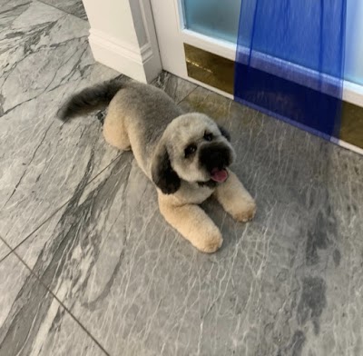 Grooming Van Image