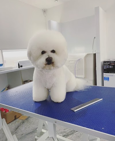 Pet Spa Essex