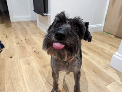 Grooming Van Image