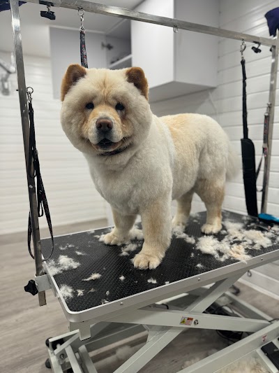 Grooming Van Image