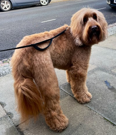 Grooming Van Image