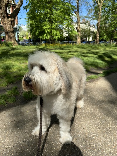 Grooming Van Image