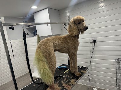 Peticure Dog Grooming