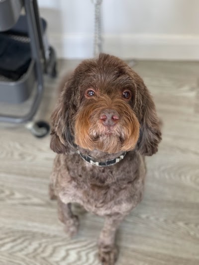 Grooming Van Image