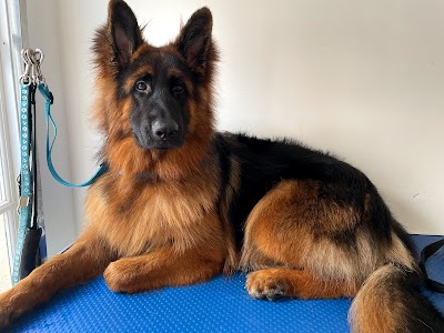 Grooming Van Image