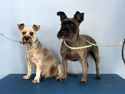 Grooming Van Image