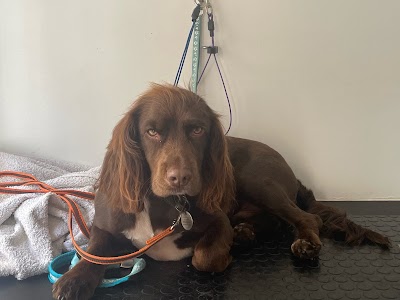 Grooming Van Image