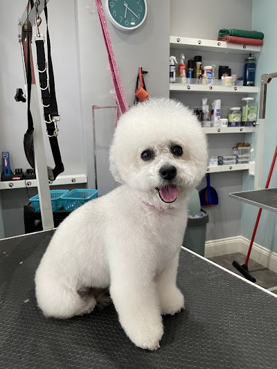 Grooming Van Image