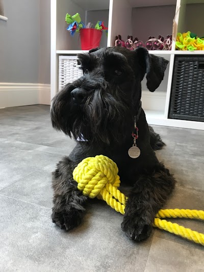 Grooming Van Image