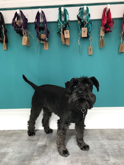 Grooming Van Image