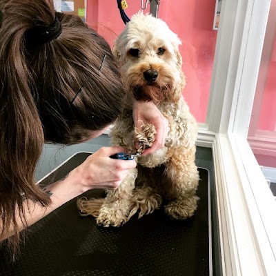 Grooming Van Image