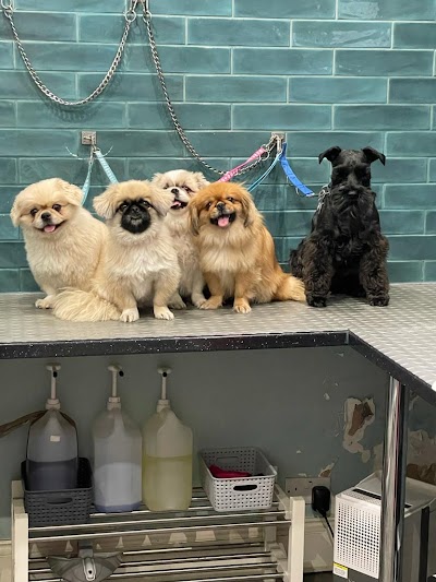 Grooming Van Image