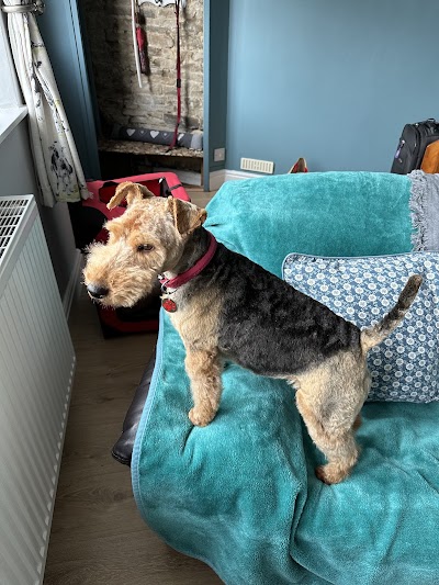 Grooming Van Image