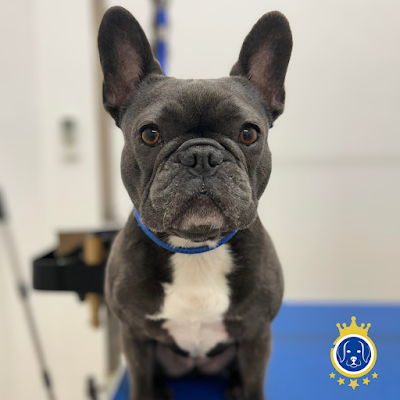 Grooming Van Image