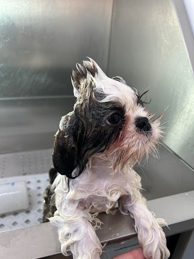 Grooming Van Image