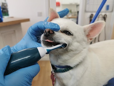Grooming Van Image