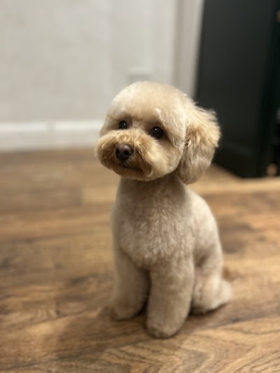 SW Dog Groomers