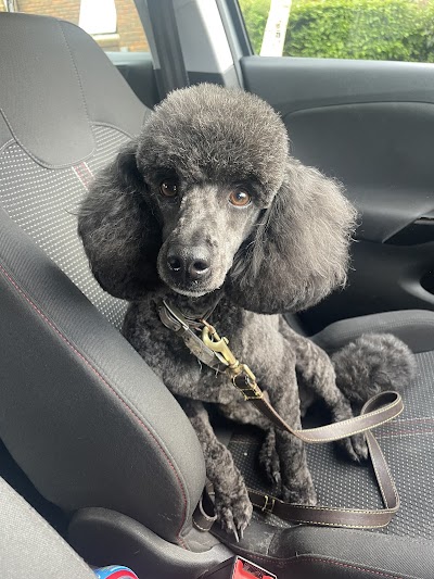 Grooming Van Image
