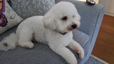 Grooming Van Image