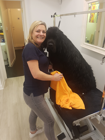 Grooming Van Image