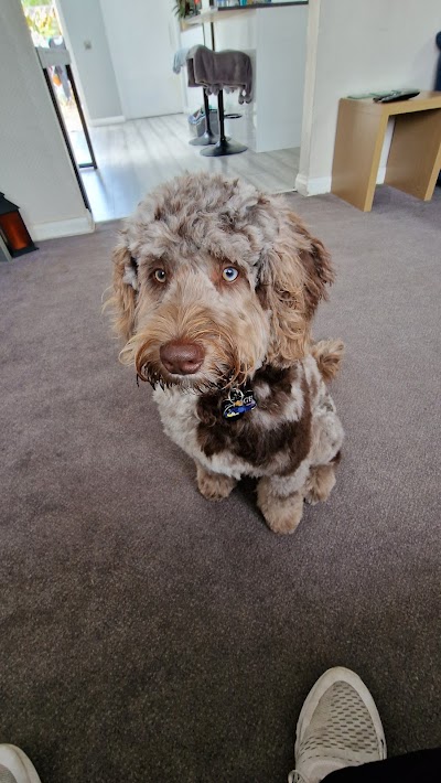 Grooming Van Image