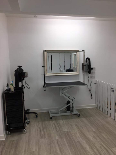 Grooming Van Image