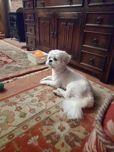 Grooming Van Image
