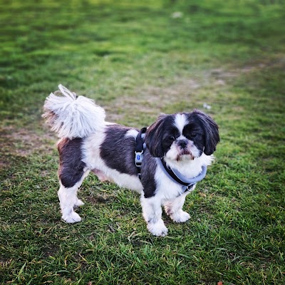 Grooming Van Image